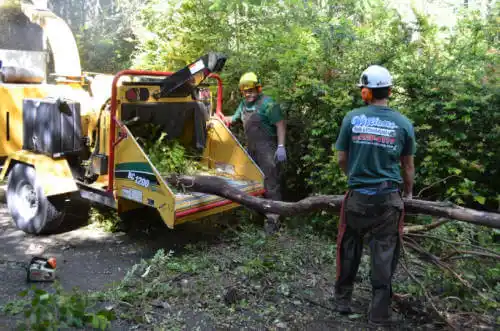 tree services Moody AFB